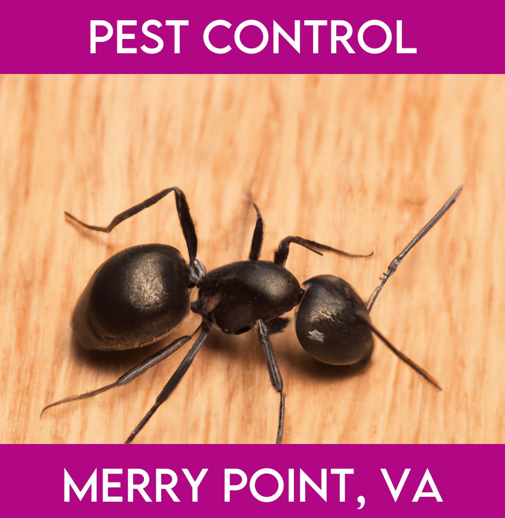 pest control in Merry Point Virginia
