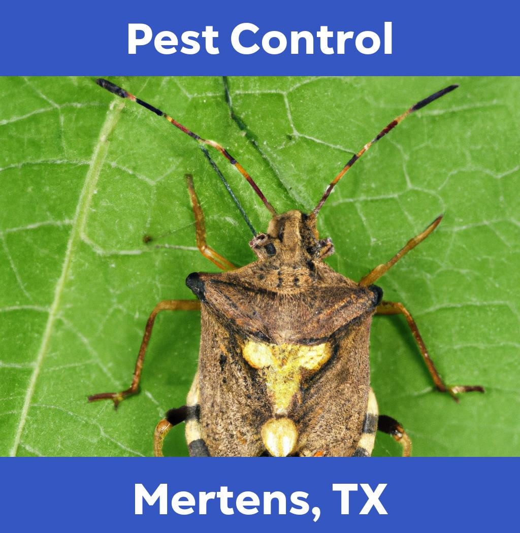 pest control in Mertens Texas