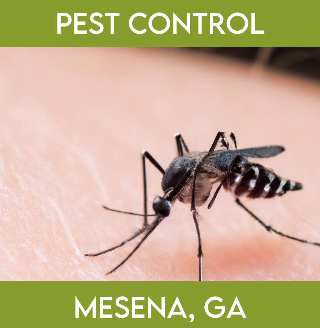 pest control in Mesena Georgia