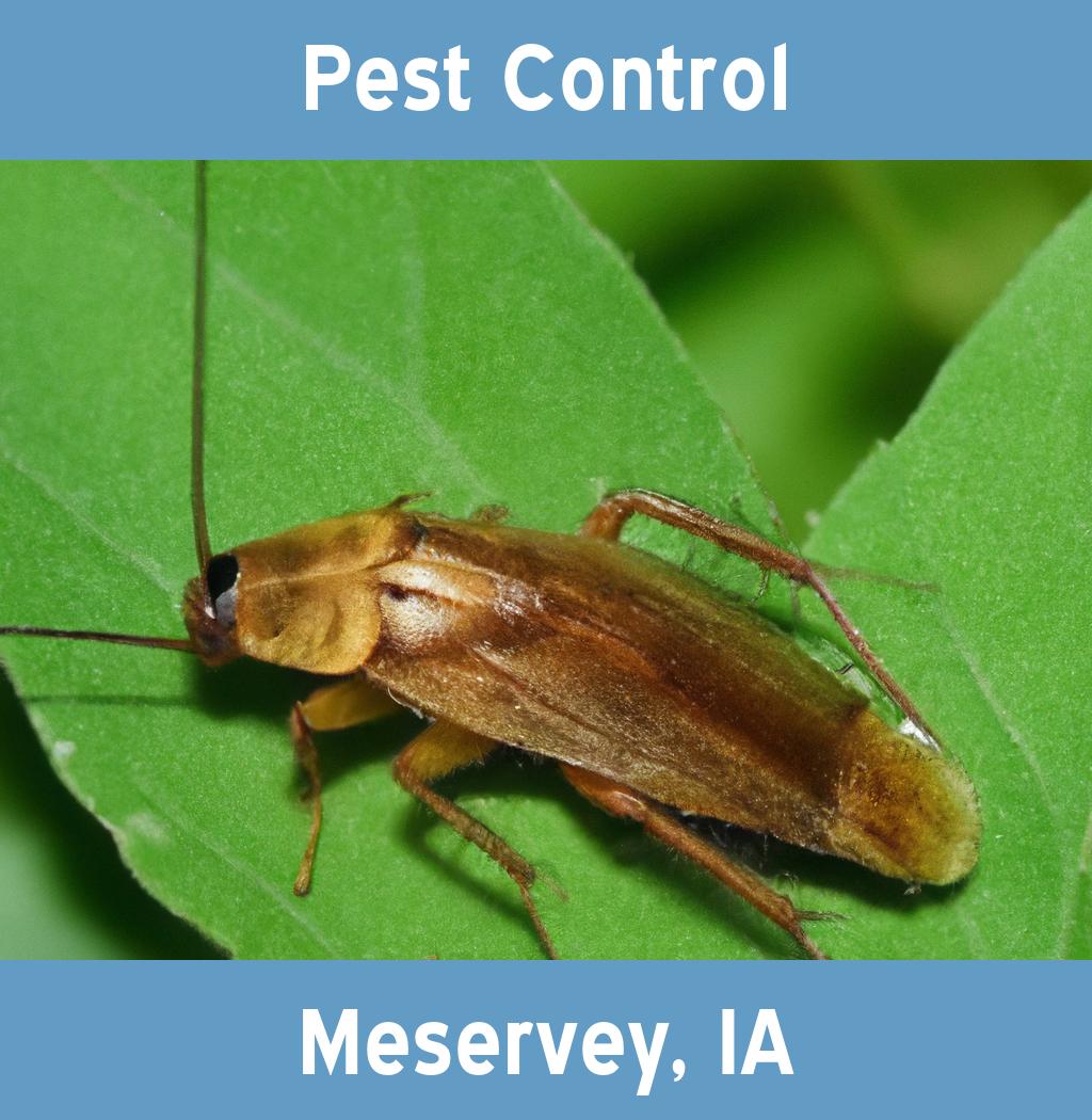 pest control in Meservey Iowa
