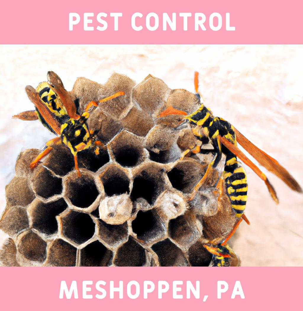 pest control in Meshoppen Pennsylvania