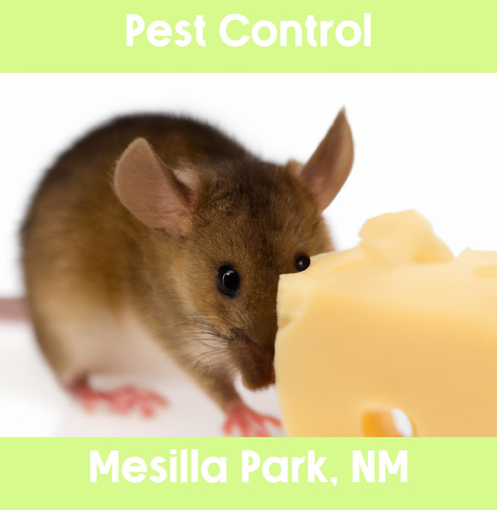 pest control in Mesilla Park New Mexico