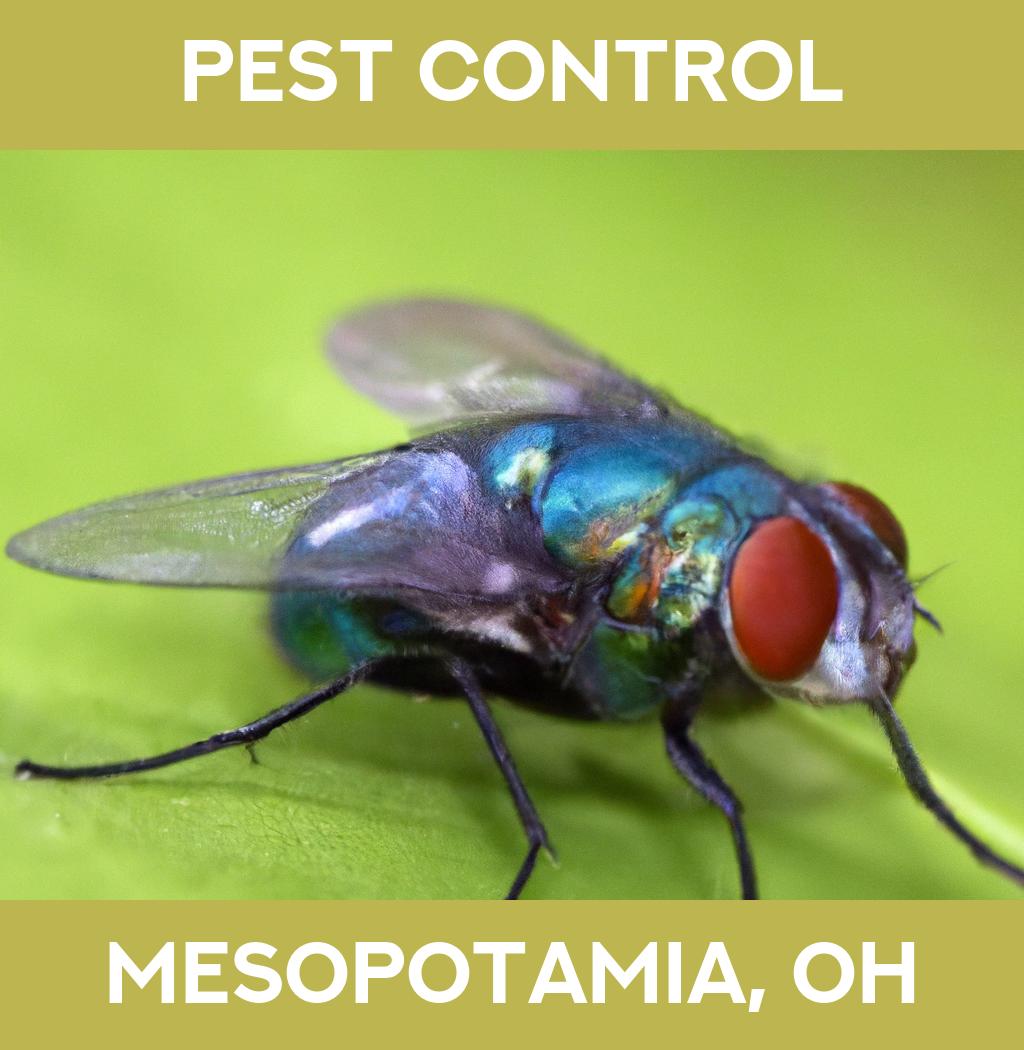 pest control in Mesopotamia Ohio