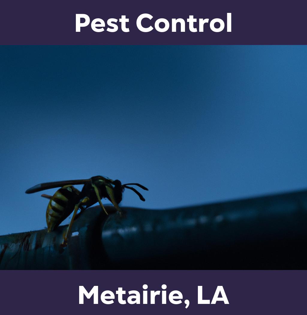 pest control in Metairie Louisiana