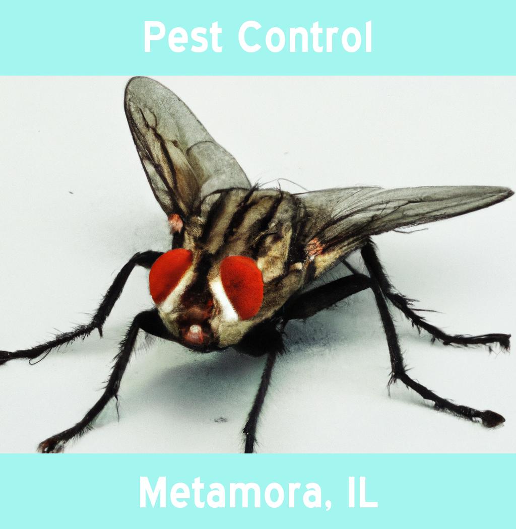 pest control in Metamora Illinois