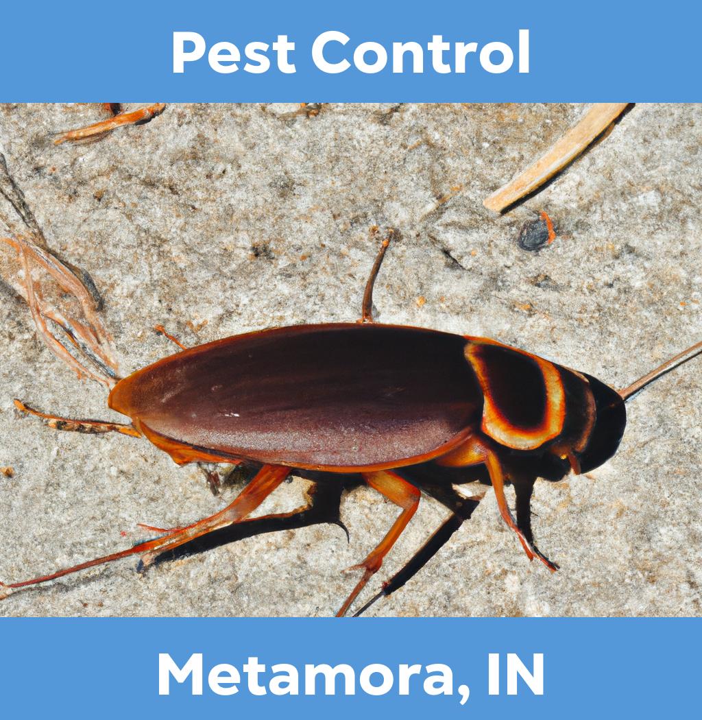 pest control in Metamora Indiana