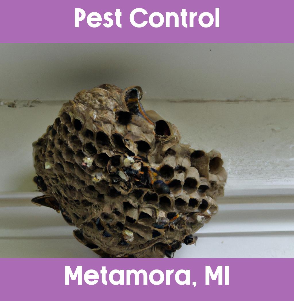 pest control in Metamora Michigan