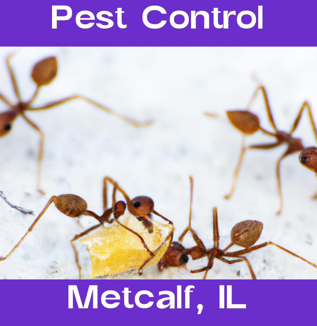pest control in Metcalf Illinois