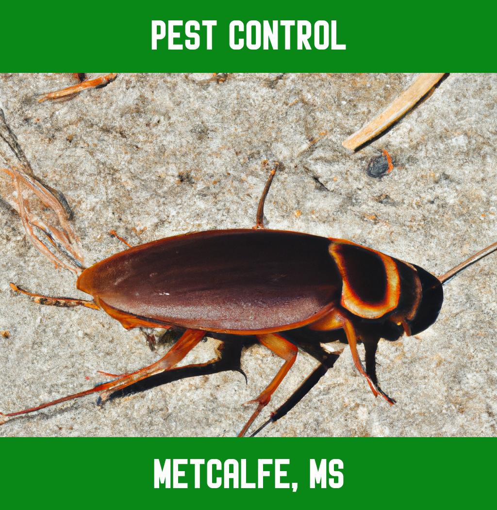 pest control in Metcalfe Mississippi
