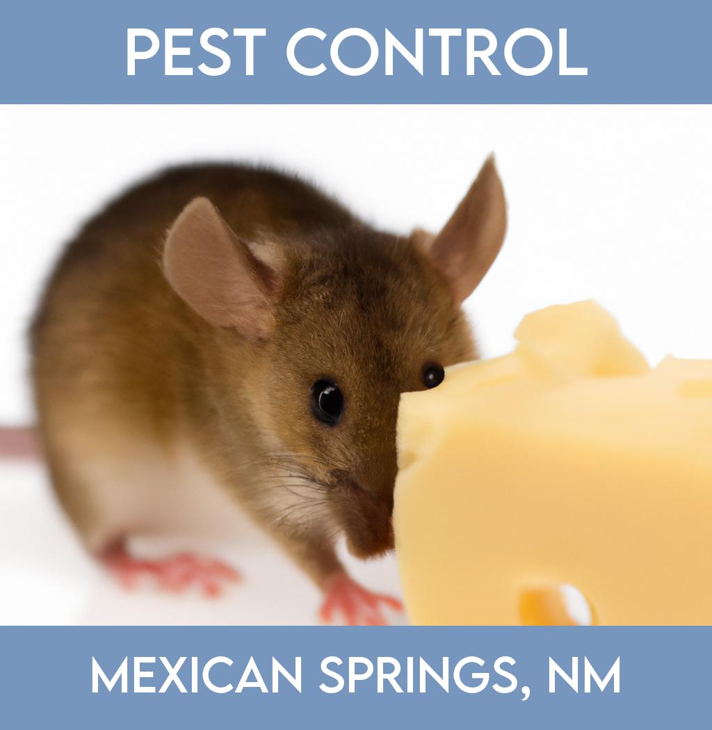 pest control in Mexican Springs New Mexico