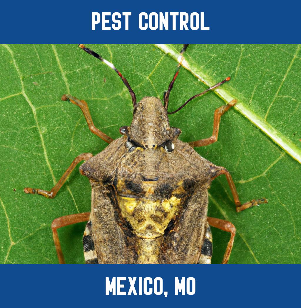 pest control in Mexico Missouri