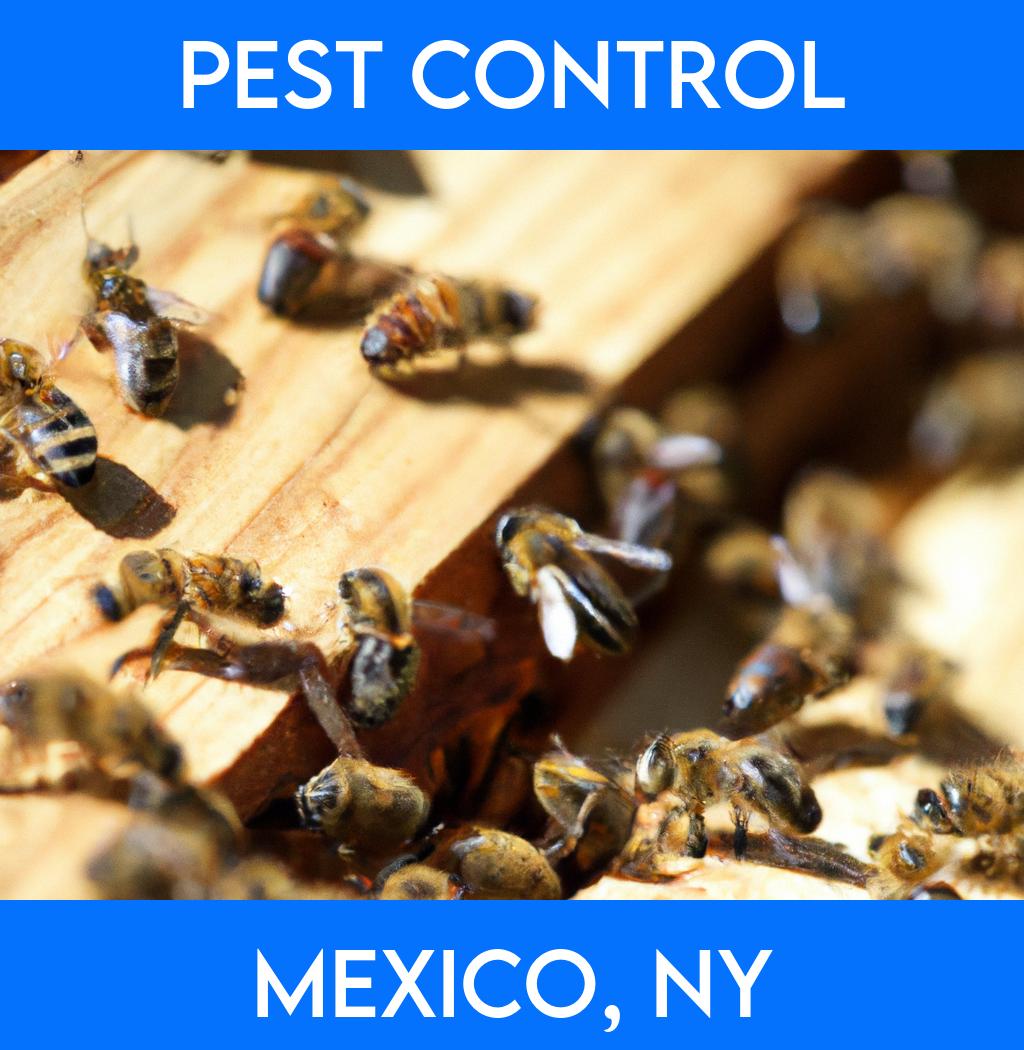 pest control in Mexico New York