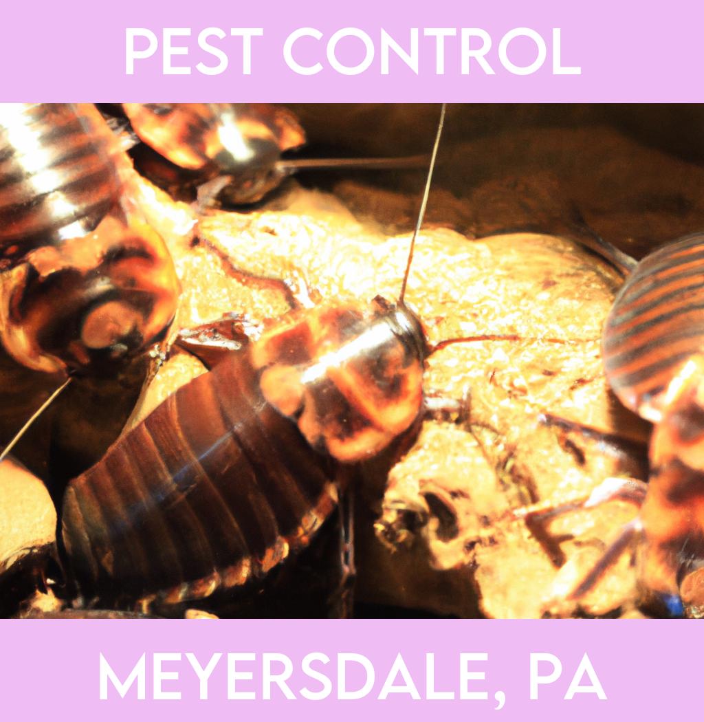 pest control in Meyersdale Pennsylvania