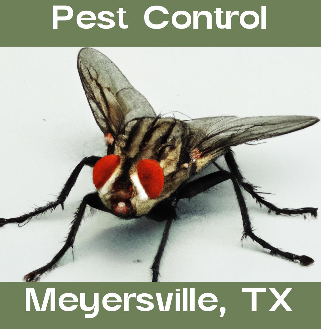 pest control in Meyersville Texas