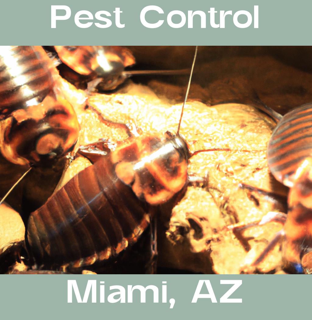 pest control in Miami Arizona