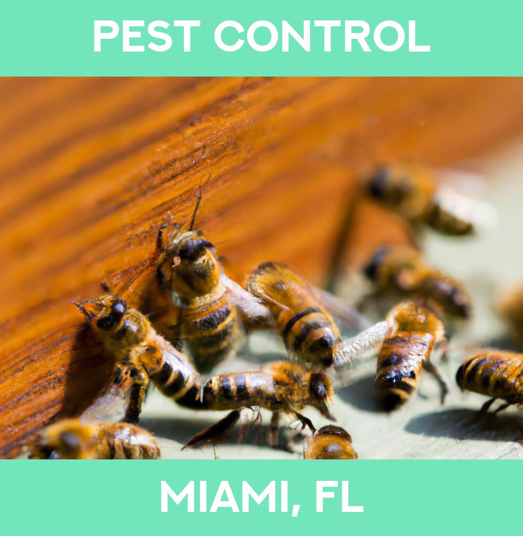 pest control in Miami Florida