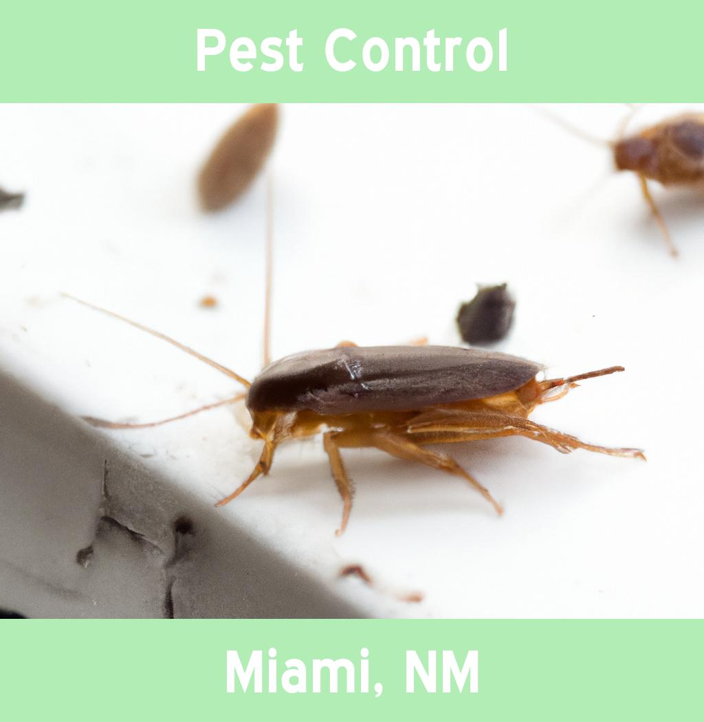 pest control in Miami New Mexico