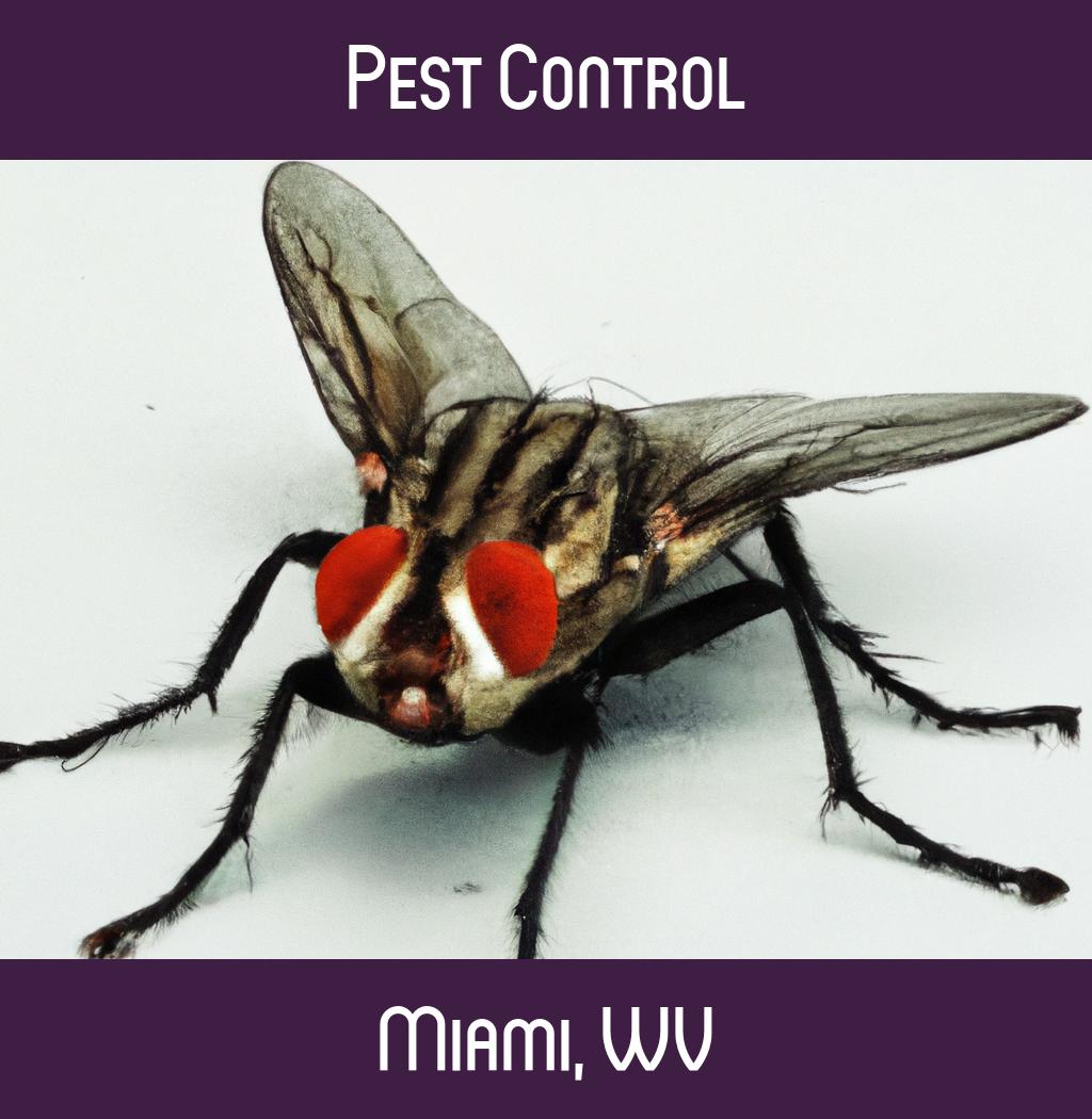 pest control in Miami West Virginia