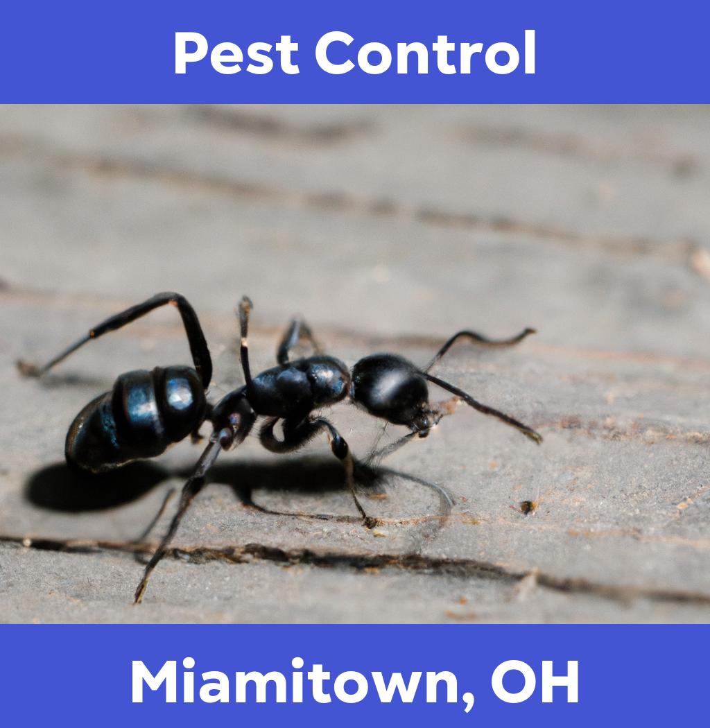 pest control in Miamitown Ohio