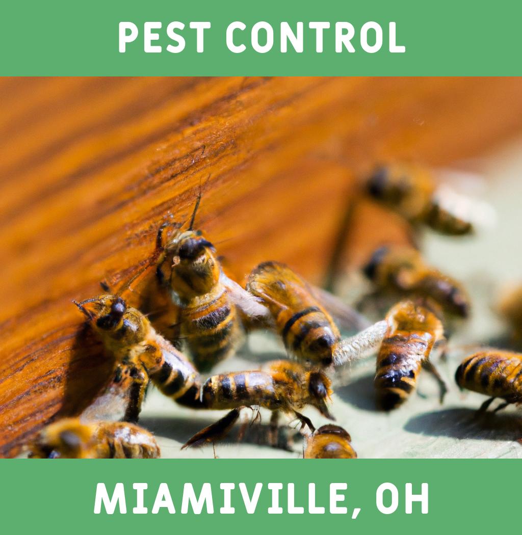 pest control in Miamiville Ohio