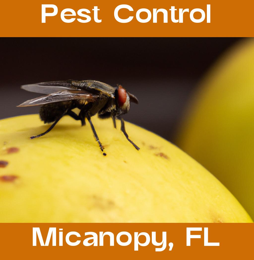 pest control in Micanopy Florida