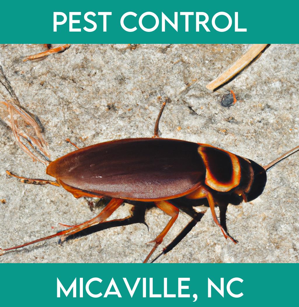 pest control in Micaville North Carolina