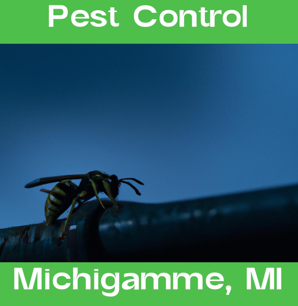 pest control in Michigamme Michigan
