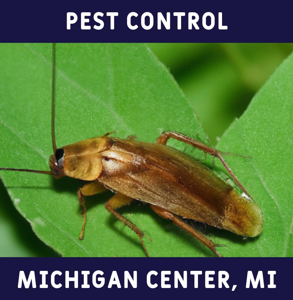 pest control in Michigan Center Michigan