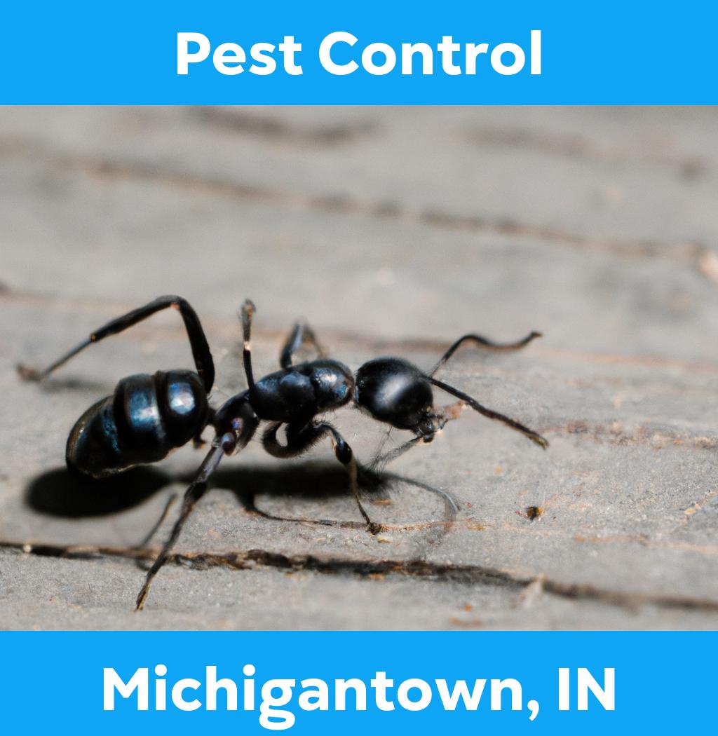 pest control in Michigantown Indiana