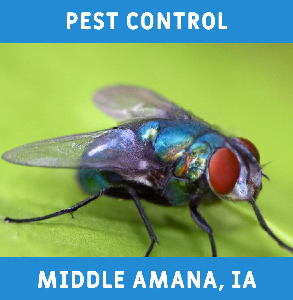 pest control in Middle Amana Iowa