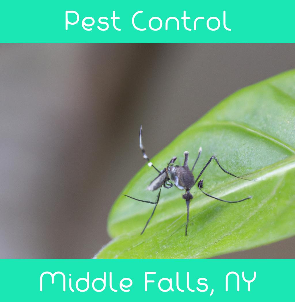 pest control in Middle Falls New York