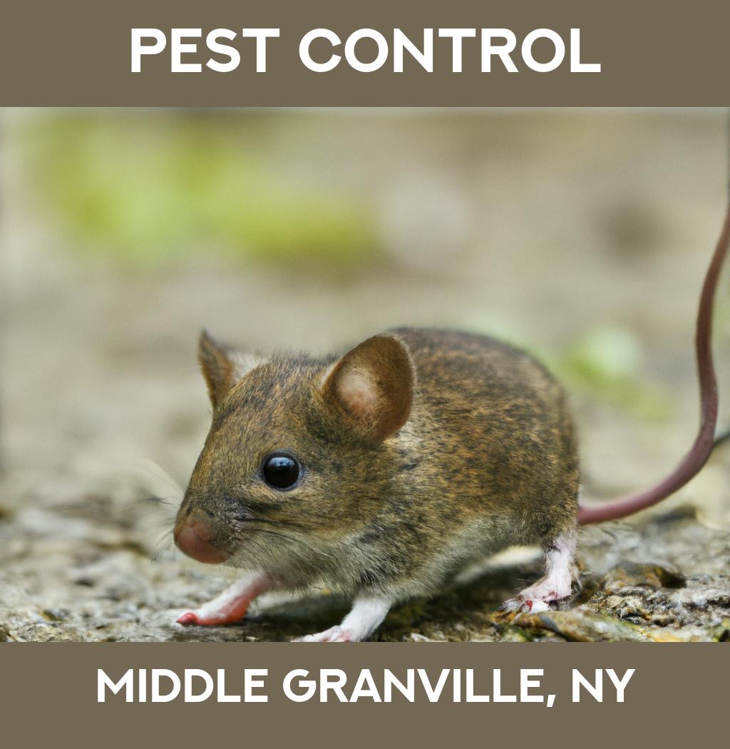 pest control in Middle Granville New York