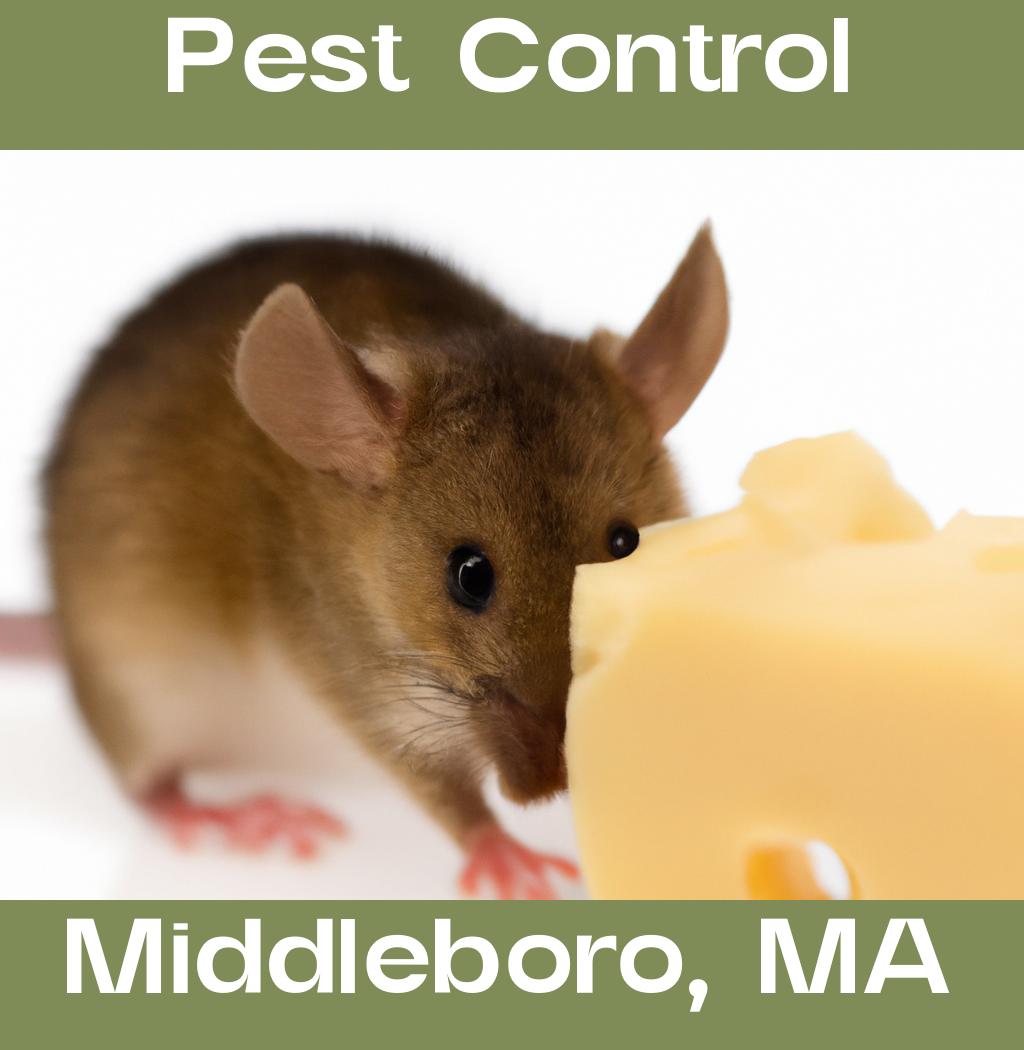 pest control in Middleboro Massachusetts