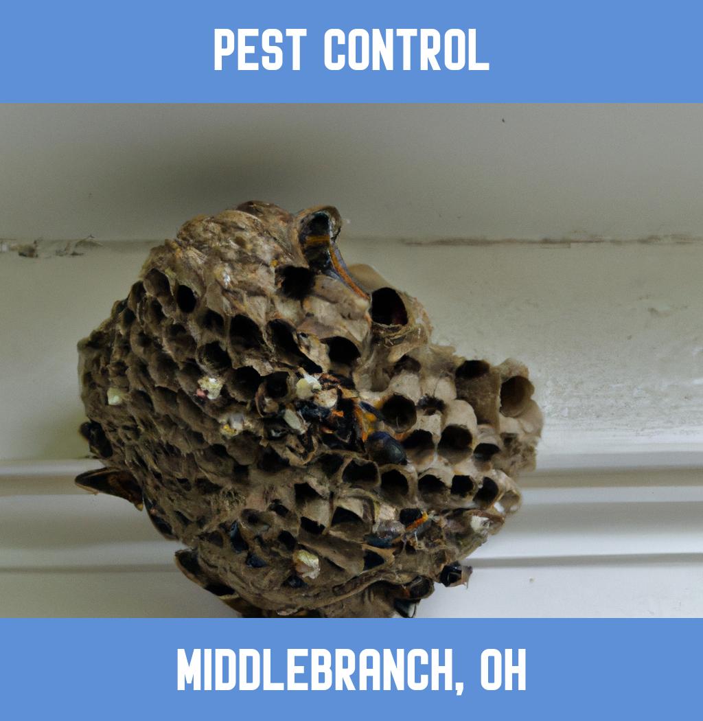 pest control in Middlebranch Ohio