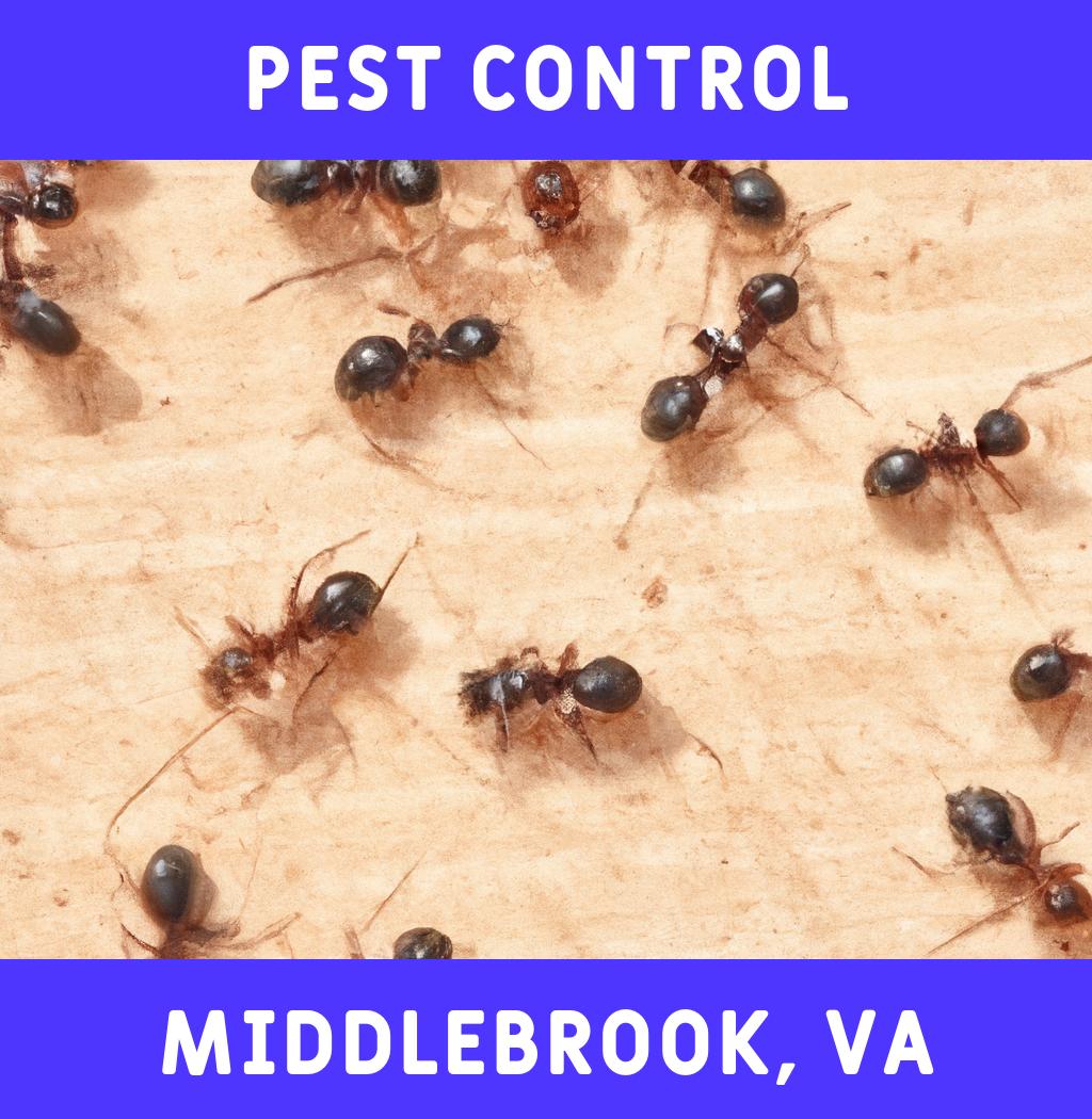 pest control in Middlebrook Virginia
