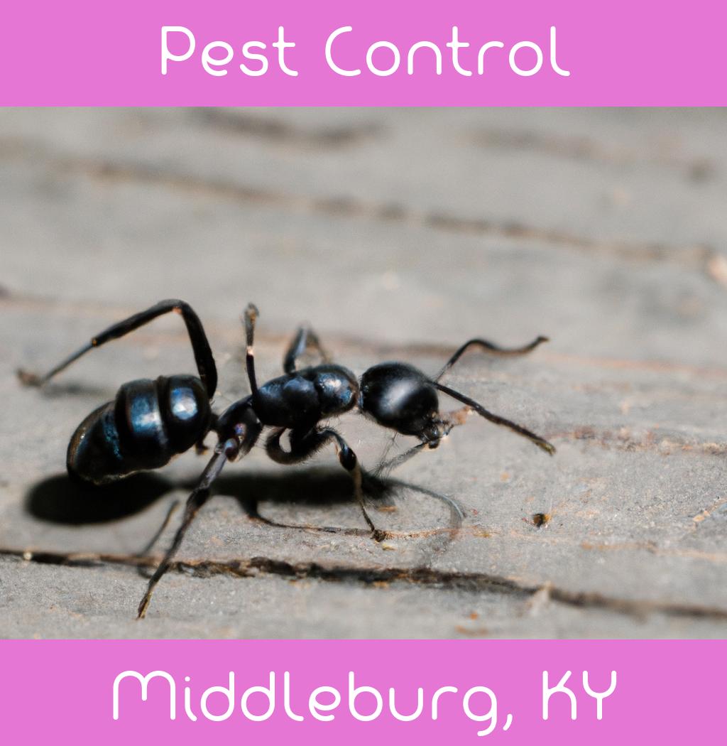 pest control in Middleburg Kentucky