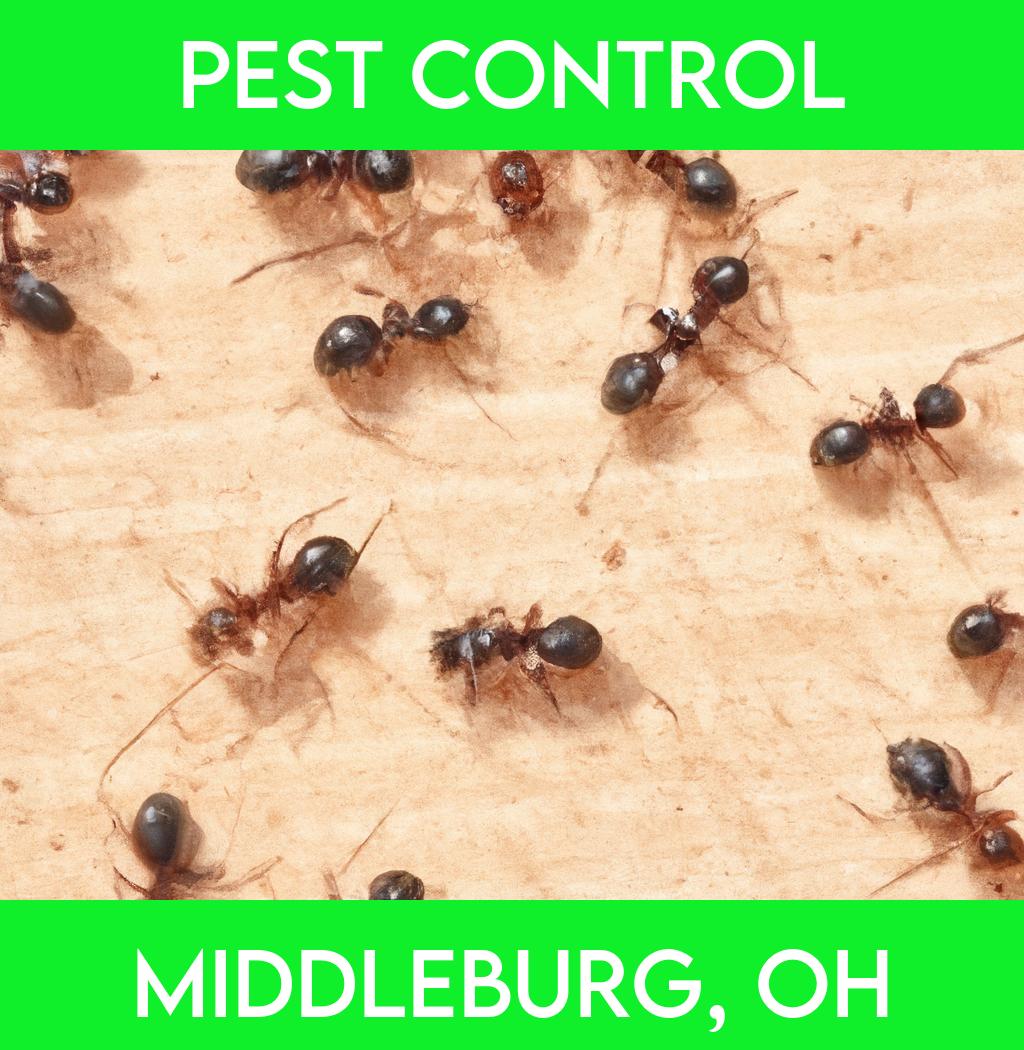 pest control in Middleburg Ohio