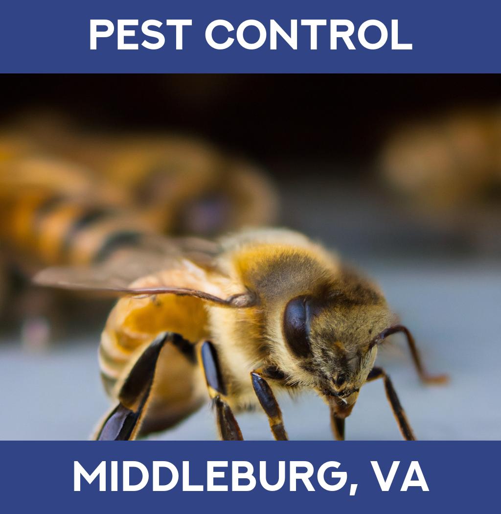 pest control in Middleburg Virginia