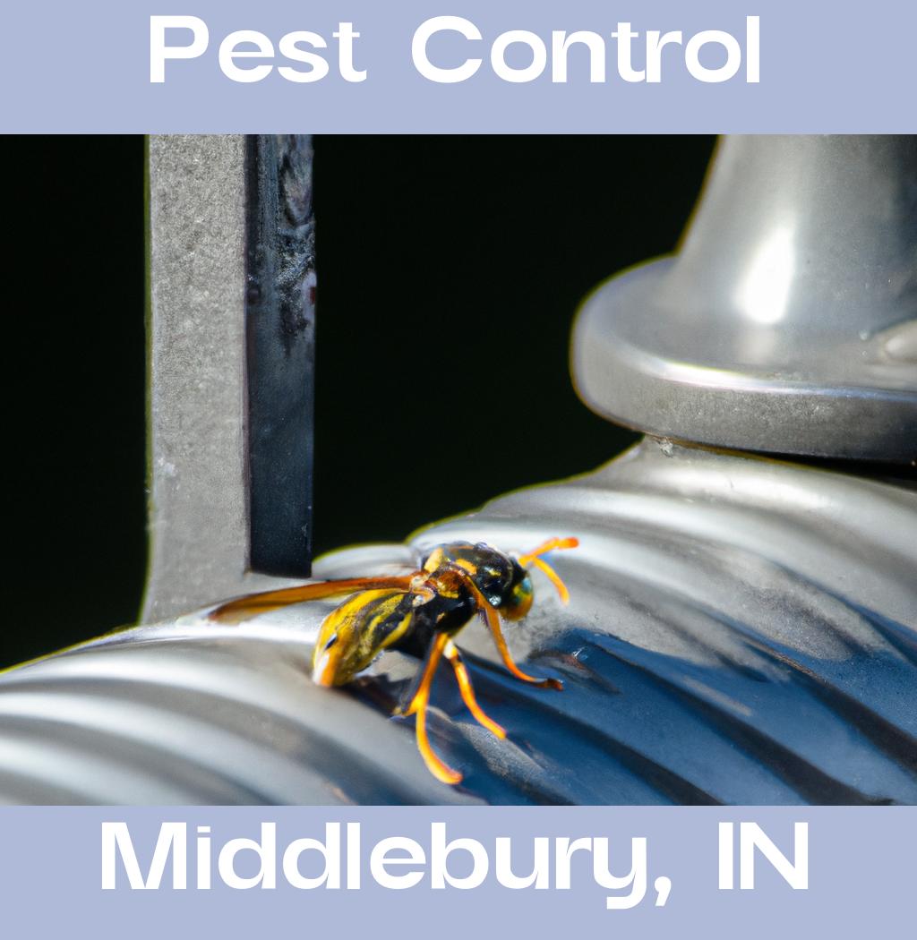 pest control in Middlebury Indiana