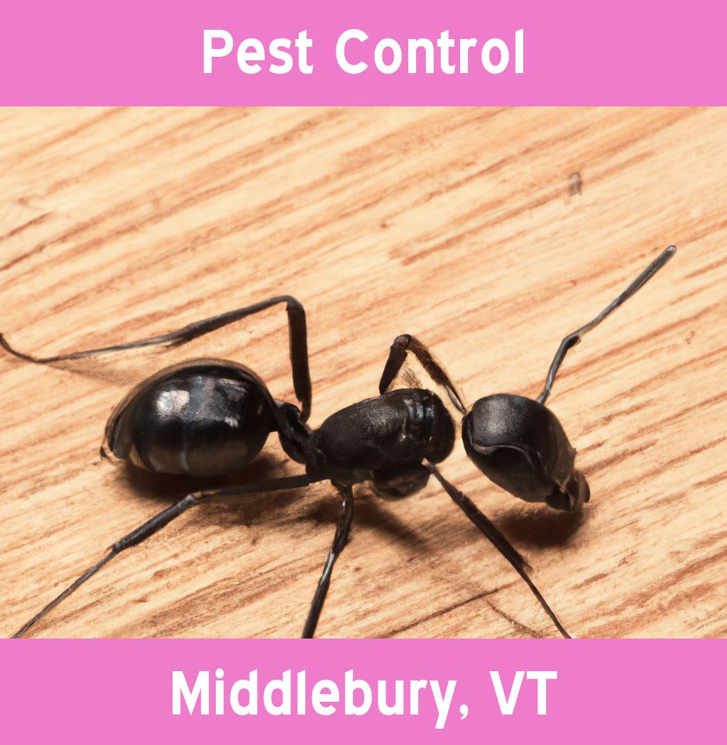 pest control in Middlebury Vermont