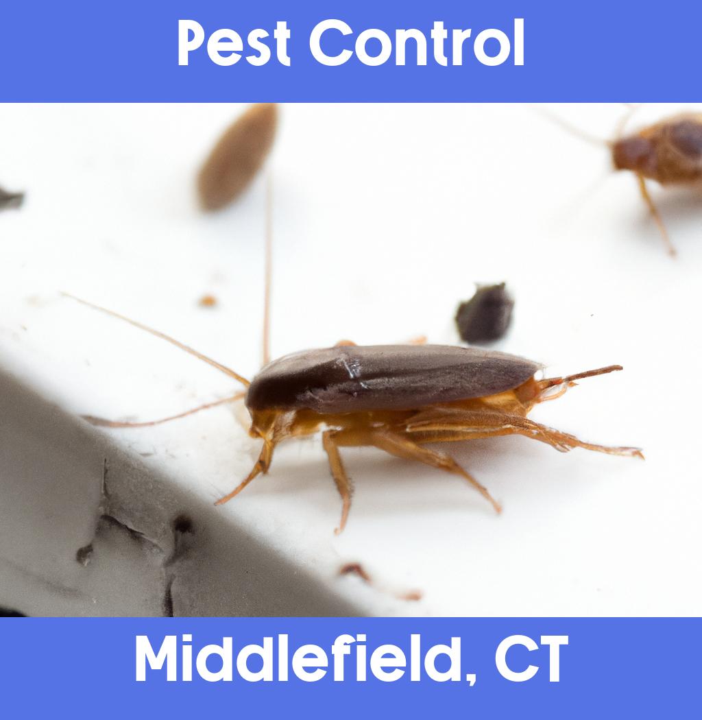 pest control in Middlefield Connecticut