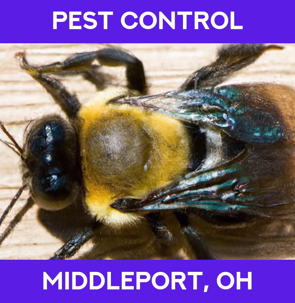 pest control in Middleport Ohio