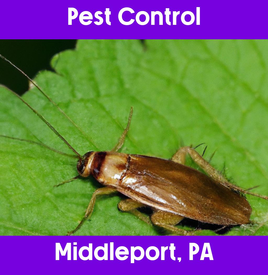 pest control in Middleport Pennsylvania