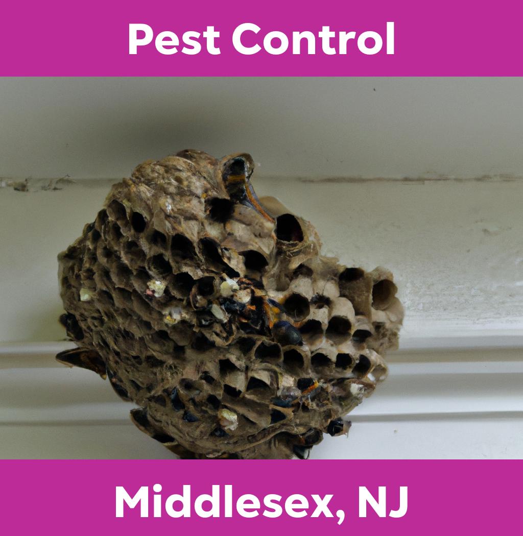 pest control in Middlesex New Jersey