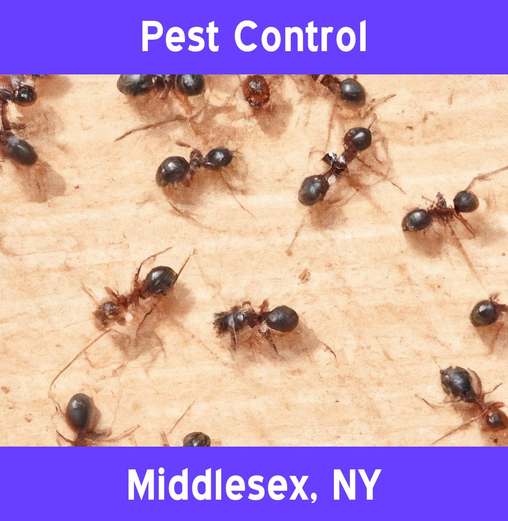 pest control in Middlesex New York