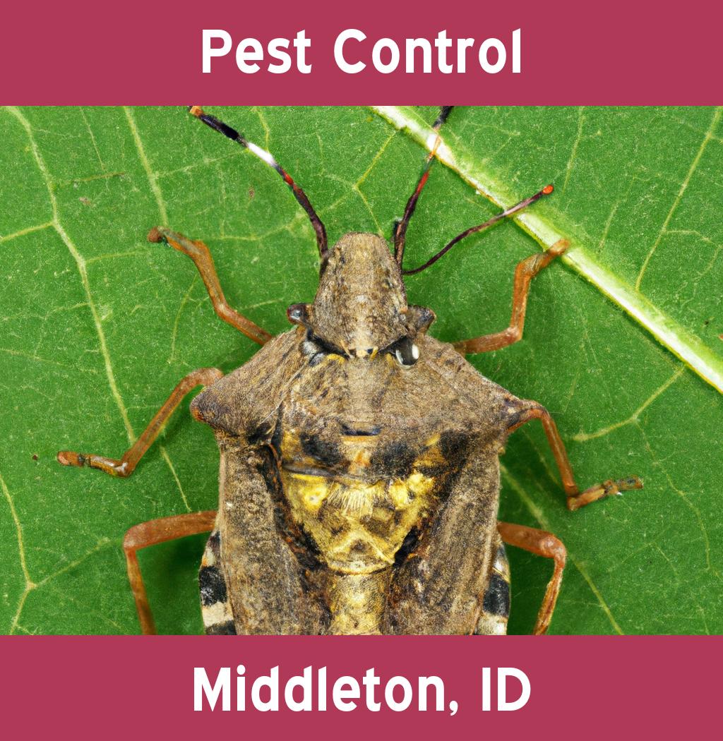 pest control in Middleton Idaho