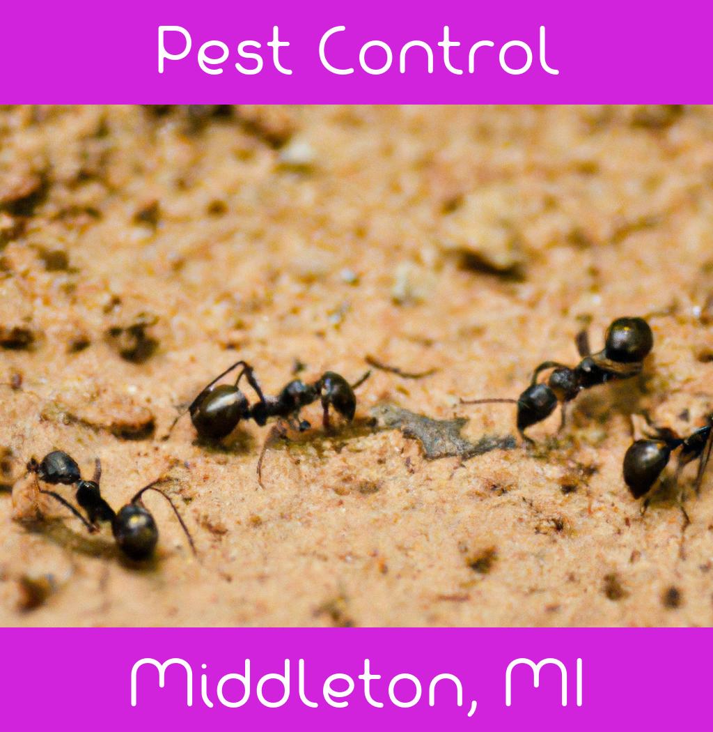 pest control in Middleton Michigan