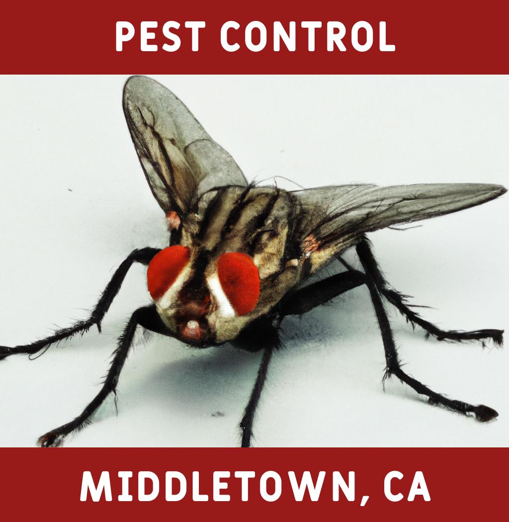 pest control in Middletown California