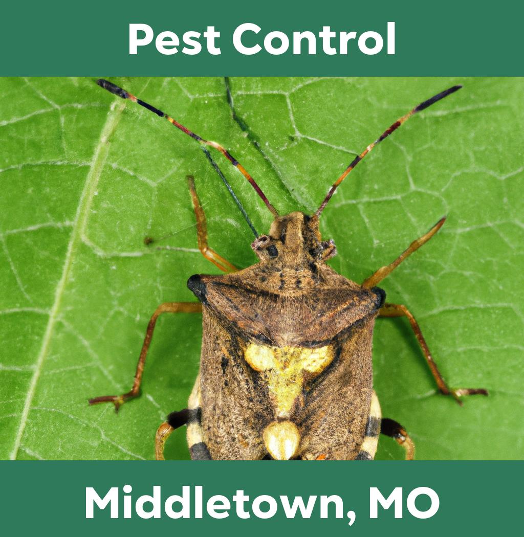 pest control in Middletown Missouri