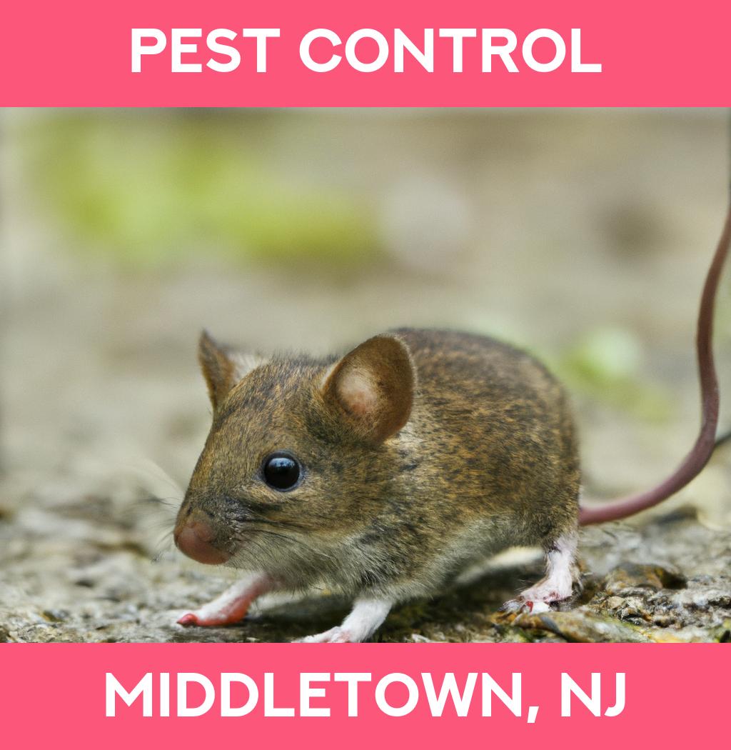 pest control in Middletown New Jersey